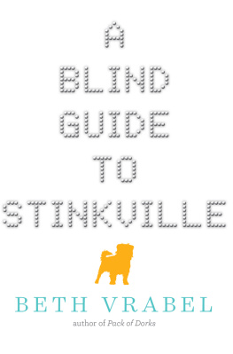 Vrabel - A Blind Guide to Stinkville