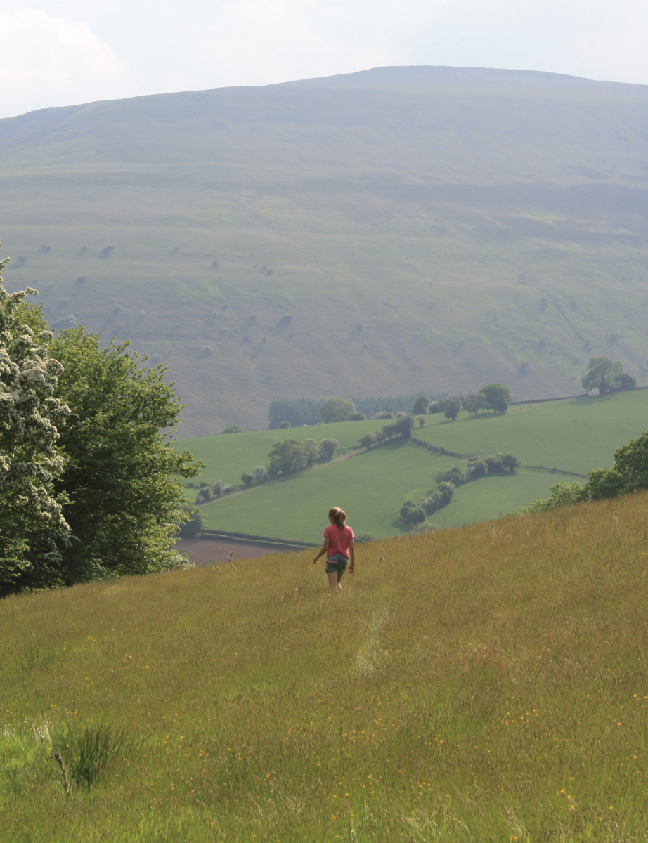 Introduction Mountain moorland weald and downland fen land breckland - photo 4