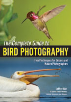 The Complete Guide to Bird Photography Jeffrey Rich shows you how to choose - photo 12