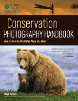 Conservation Photography Handbook Acclaimed photographer and environmental - photo 15