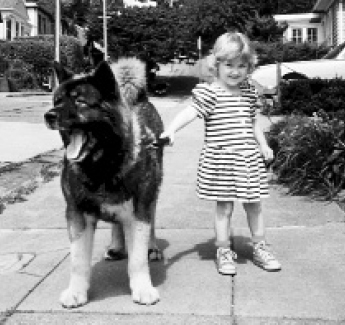 Rita the Akita with Lyric Tucker-Leeds Rita came home the next evening with - photo 3