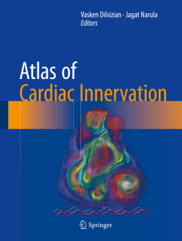 Vasken Dilsizian Atlas of Cardiac Innervation