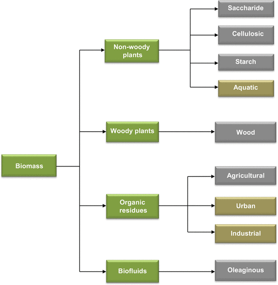 Fig 11 Sources of biomass Gray boxes represent the most used biomass types - photo 1