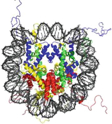 Fig 11 The crystal structure of DNA wrapped around the histone core to form - photo 1