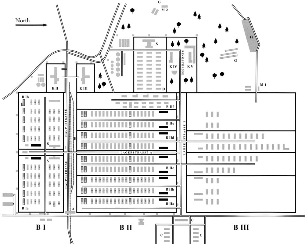 Plan of Auschwitz-Birkenau Yad VashemFondation pour la Mmoire de la Shoah - photo 6