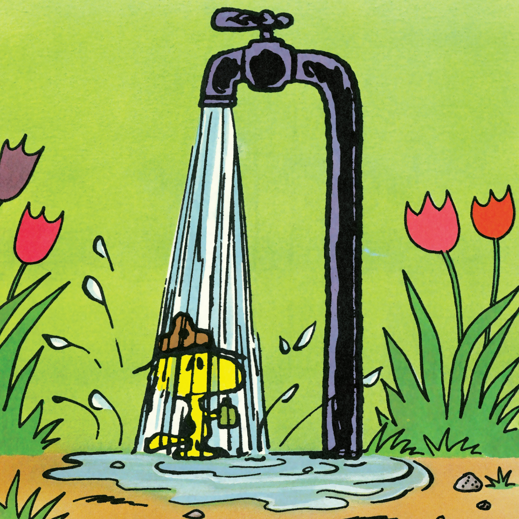 Woodstock cooled off under the faucet - photo 20