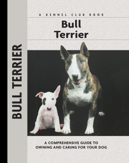 Van Kempen Alice Bull Terrier