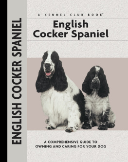 Van Wessem - English Cocker Spaniel