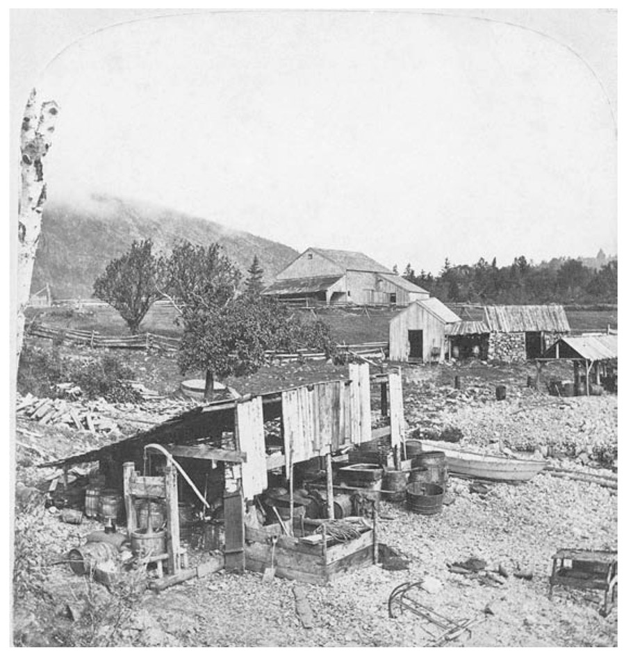 LYNAM WAS a subsistence farmer like many of his fellow islanders producing - photo 6