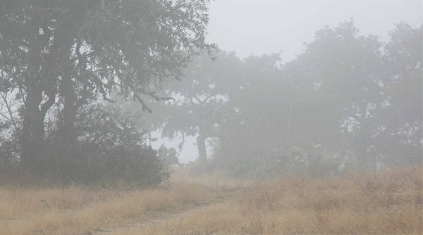 Fog AT HILLINGDON David K Langford - photo 2