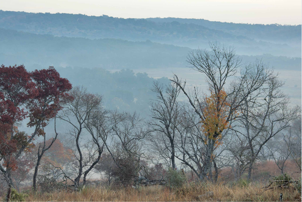 For all who appreciate the mystery and magic of fog - photo 5