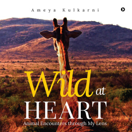 Ameya Kulkarni - Wild at Heart: Animal Encounters through My Lens
