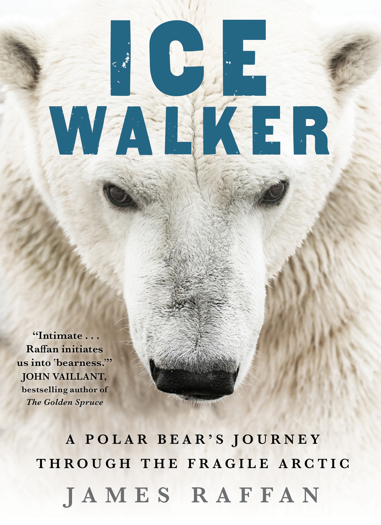 Praise for ICE WALKER For most of my life I have read stories of animals - photo 1