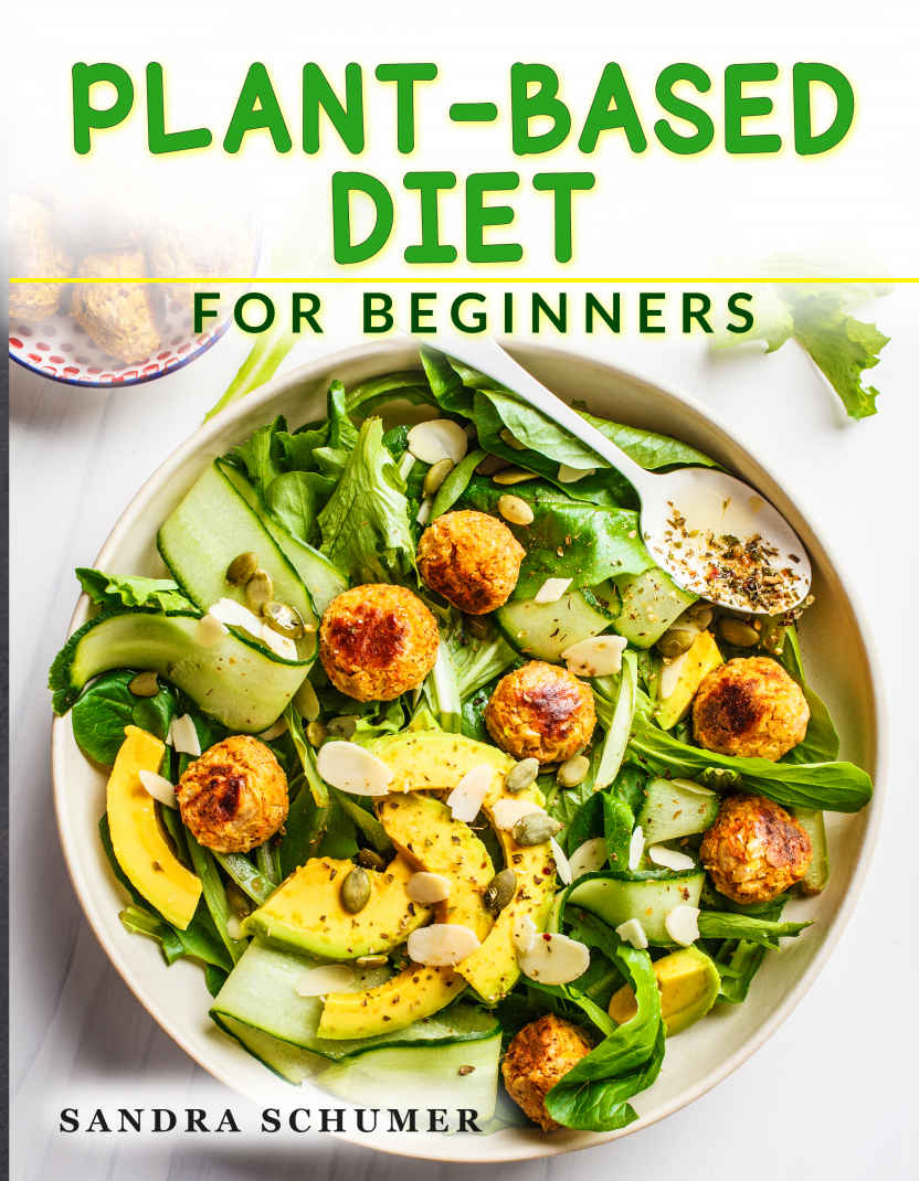 PLANT-BASED DIET FOR BEGINNERS More than 100 Quick Easy Vegan Recipes to - photo 1