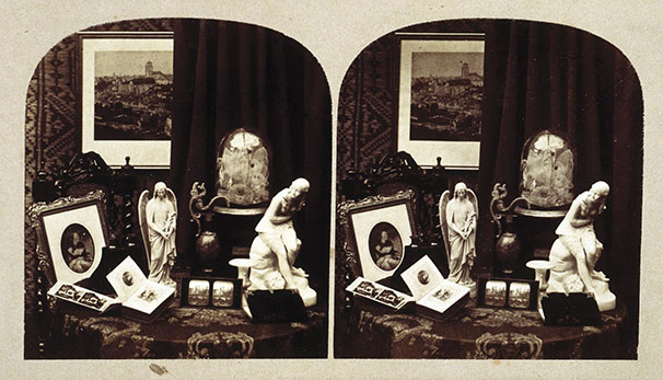 Fig 01 Unknown artist Still Life Stereographic photograph Albumen print - photo 3