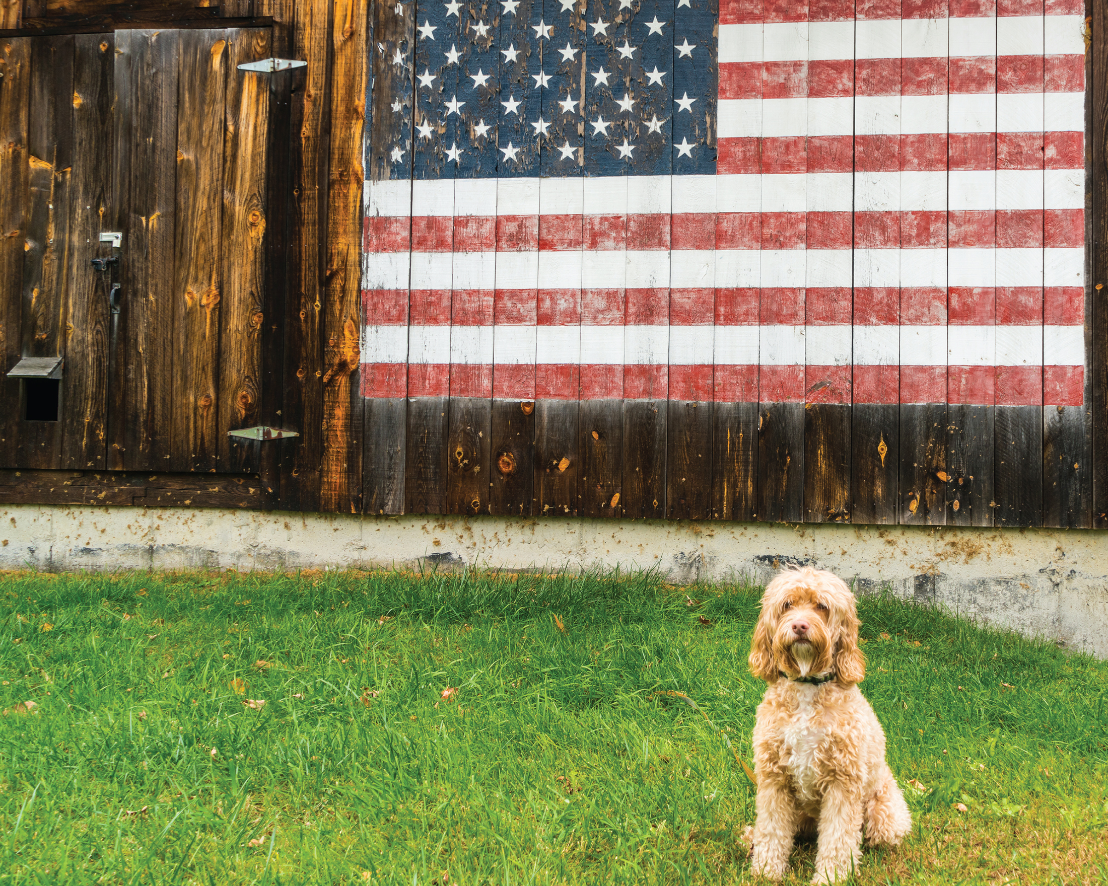 THE AMERICAN DREAM BELONGS TO ALL OF US KAMALA HARRIS AMERICANS ARE - photo 20