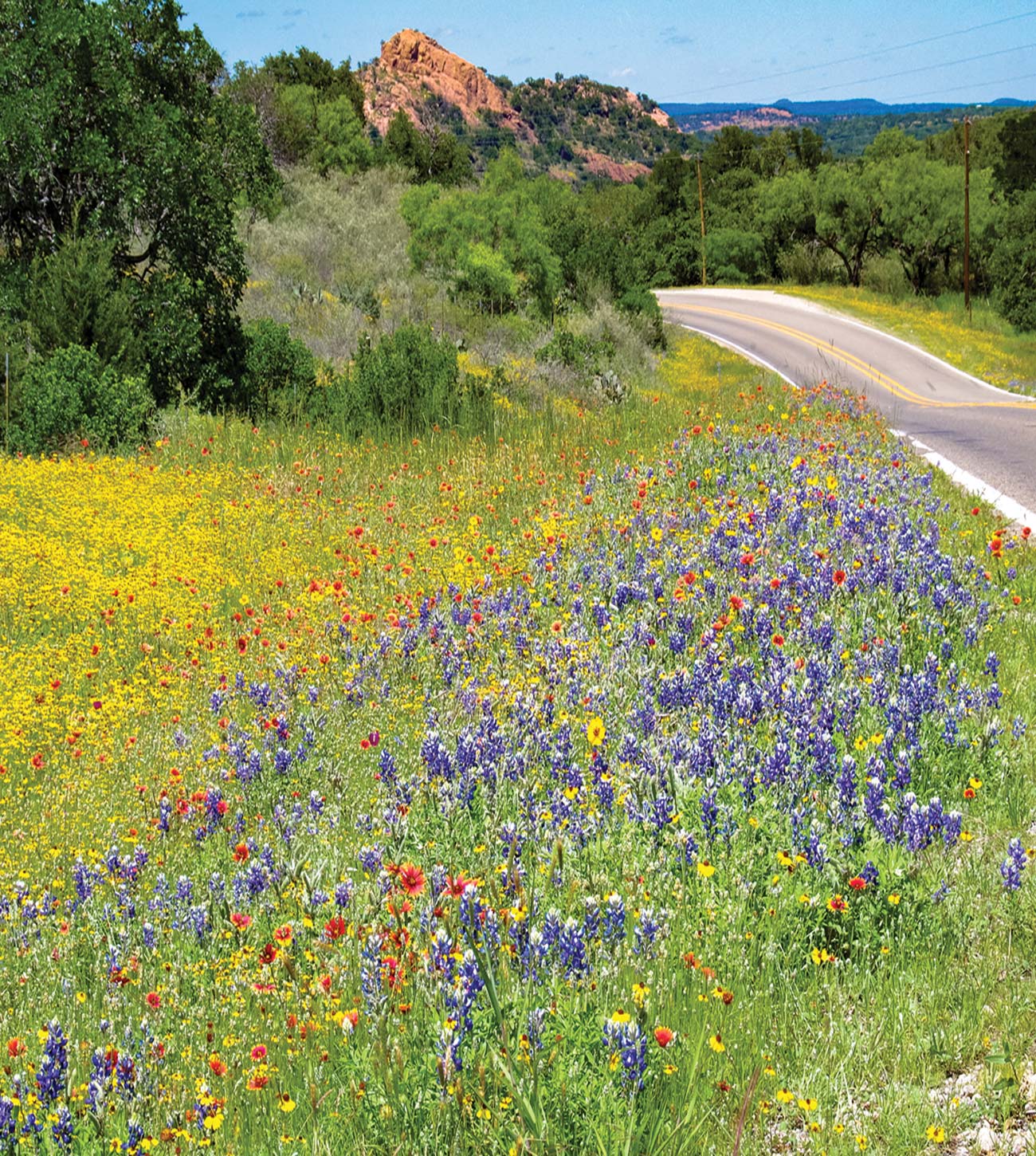 wildflowers at Enchanted Rock State Natural Area statue of Stevie Ray - photo 7