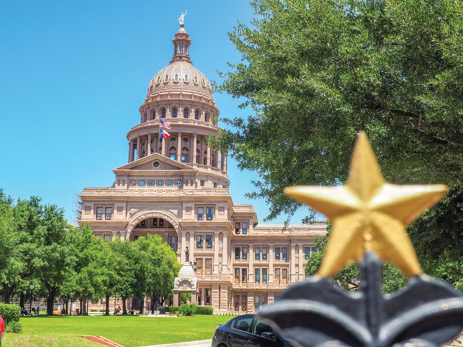 Celebrate Texans have a lot of reasons to be proud Visit the state capitol - photo 19