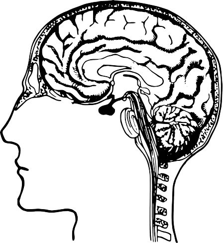 Welcome to the most fascinating field in medicine Psychiatry deals with the - photo 2