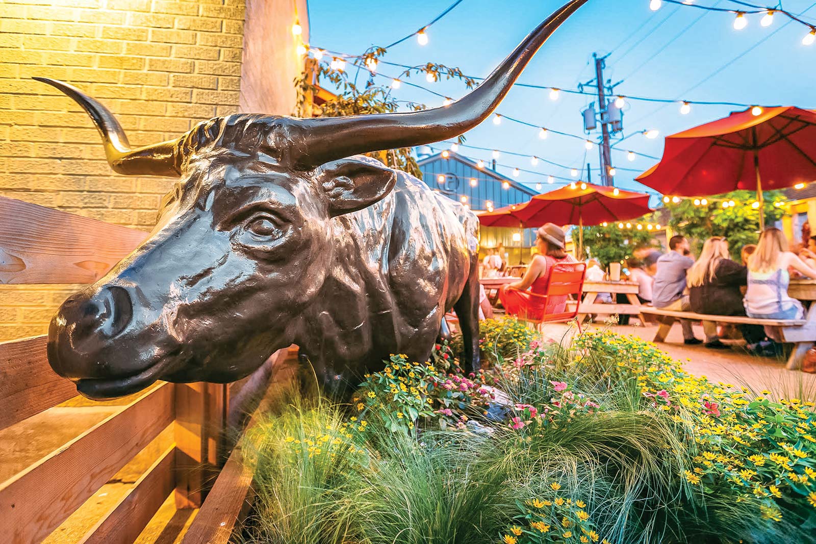 patio at Pecan Lodge in Deep Ellum - photo 7