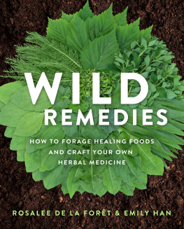 Rosalee de la Forêt - WILD REMEDIES: plant medicines that heal you, your family, and the world