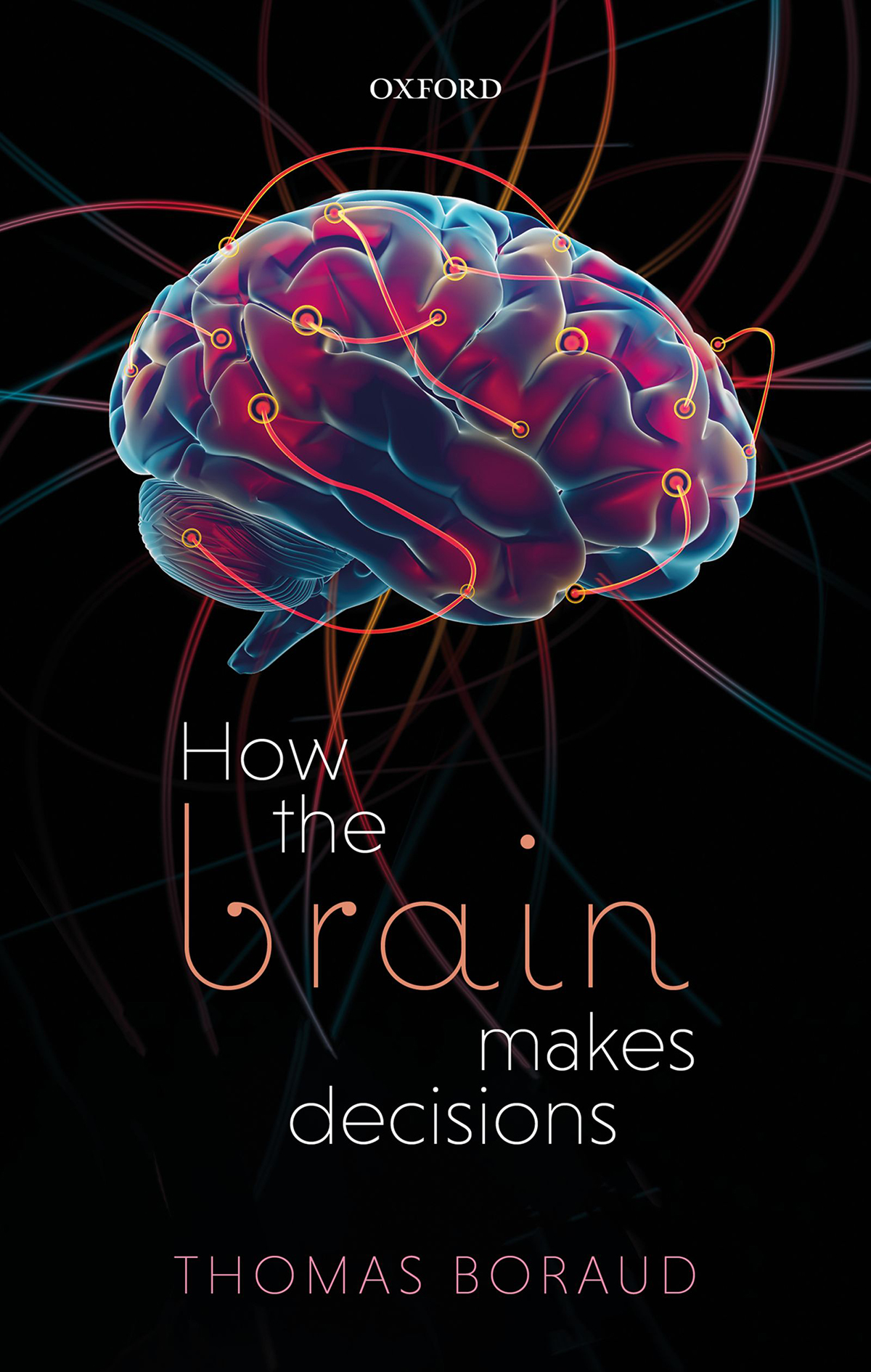 How the Brain Makes Decisions - image 1