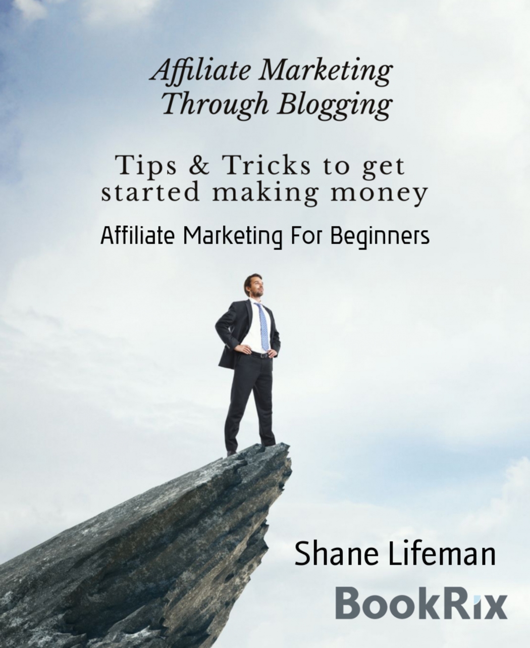 Shane Lifeman Affiliate Marketing For Beginners Making Money Online BookRix - photo 1