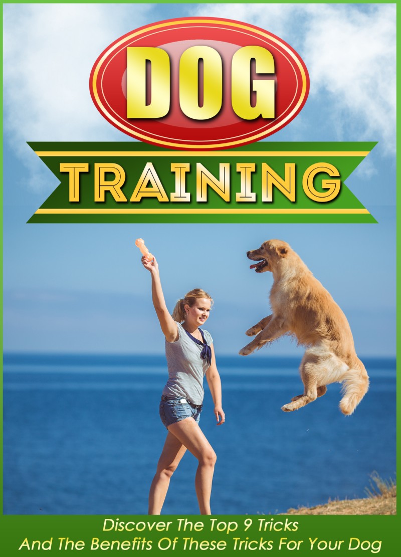 Table of Contents Dog Training Discover The Top 9 Tricks And The Benefits Of - photo 1
