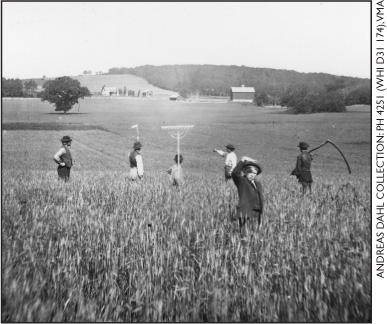 This wheat farm was in a Norwegian community close to Cambridge where Ole - photo 12