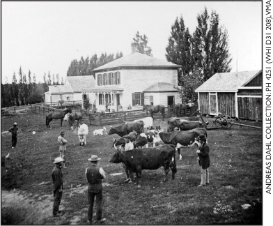 A dairy farm in Christiana Township in Dane County around 1875 Christiana - photo 13