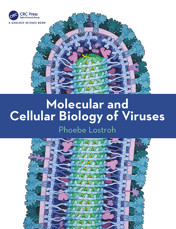 Molecular and Cellular Biology of Viruses Molecular and Cellular Biology of - photo 1