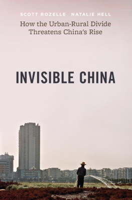 Scott Rozelle - Invisible China: How the Urban-Rural Divide Threatens China’s Rise