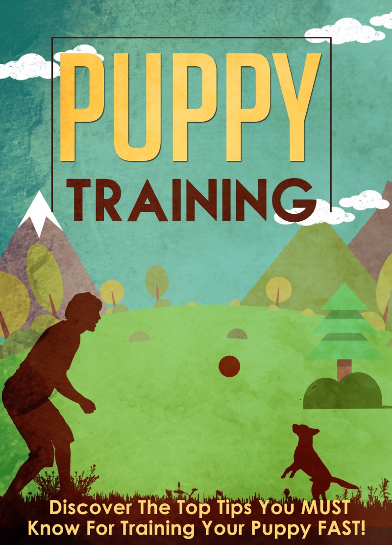 Table of Contents Puppy Training Discover The Top Tips You MUST Know For - photo 1