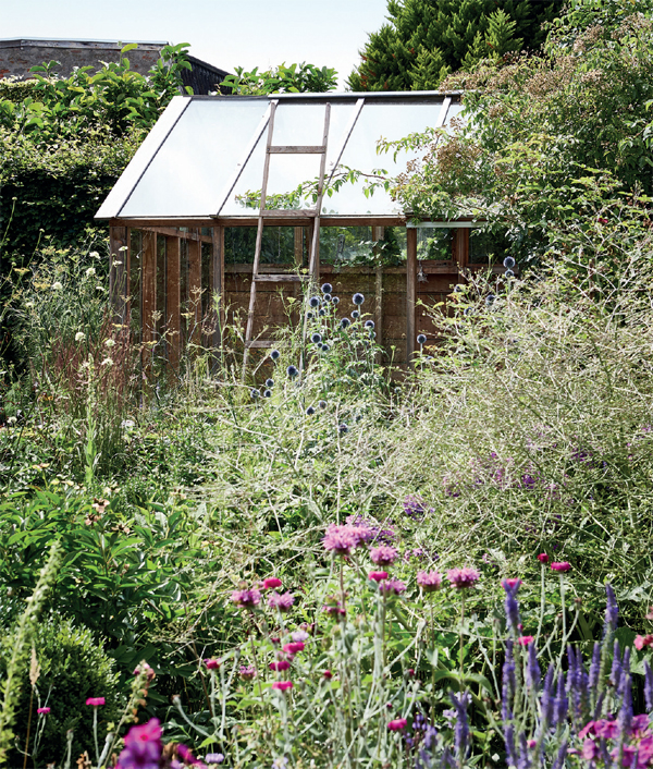 GREEN-FINGERED Use your shed or greenhouse to sow grow and enjoy all things - photo 12