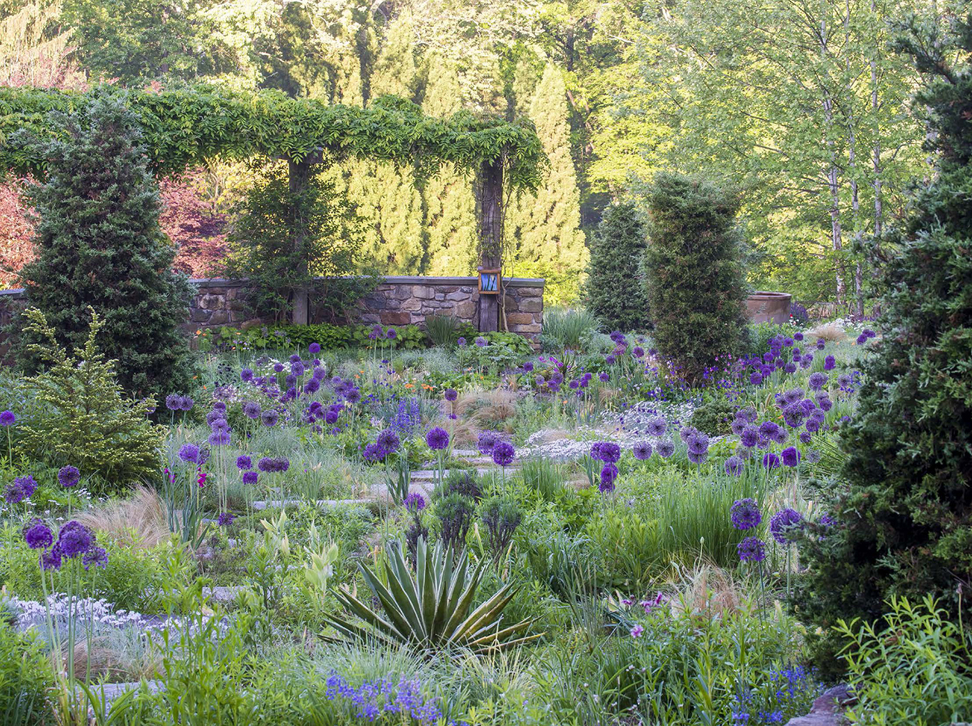 The Gravel Garden rolls into late spring with the last hurrah of bulbs - photo 2