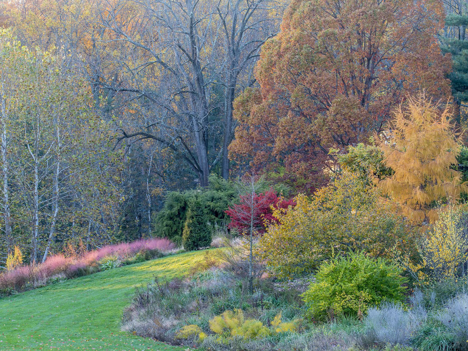 An autumnal view toward the Pond Gardens Rock Ledge and the Winter Shrub - photo 4