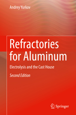 Yurkov Refractories for Aluminum Electrolysis and the Cast House