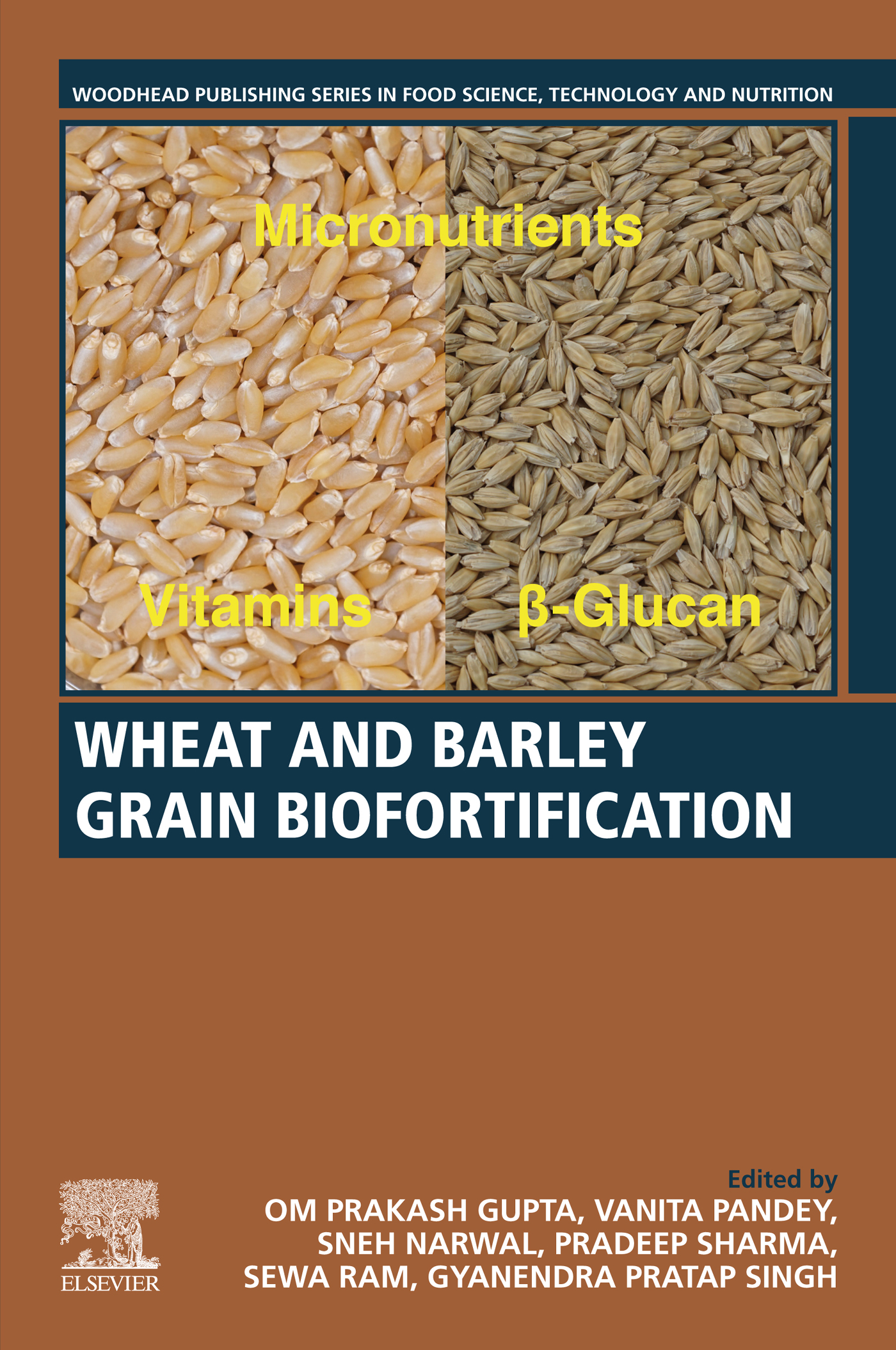 Wheat and Barley Grain Biofortification Edited by Om Prakash Gupta Vanita - photo 1