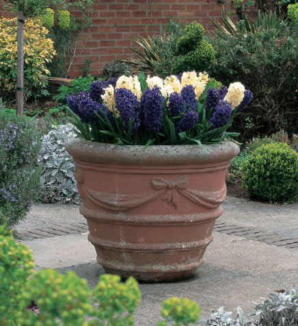 This large terra-cotta pot has been planted for early spring with dark blue and - photo 14