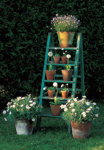 A painted stepladder makes a stage for a late springearly summer display of - photo 15