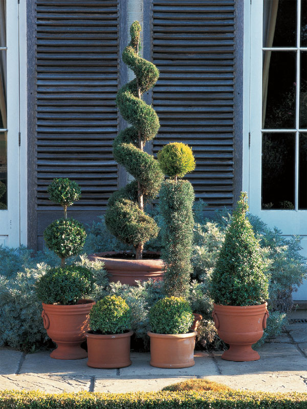 Perfect Pots for Small Spaces - image 3