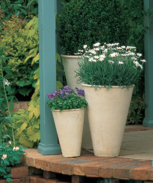 The tall and distinctive shape of these pots is emphasized by their - photo 12