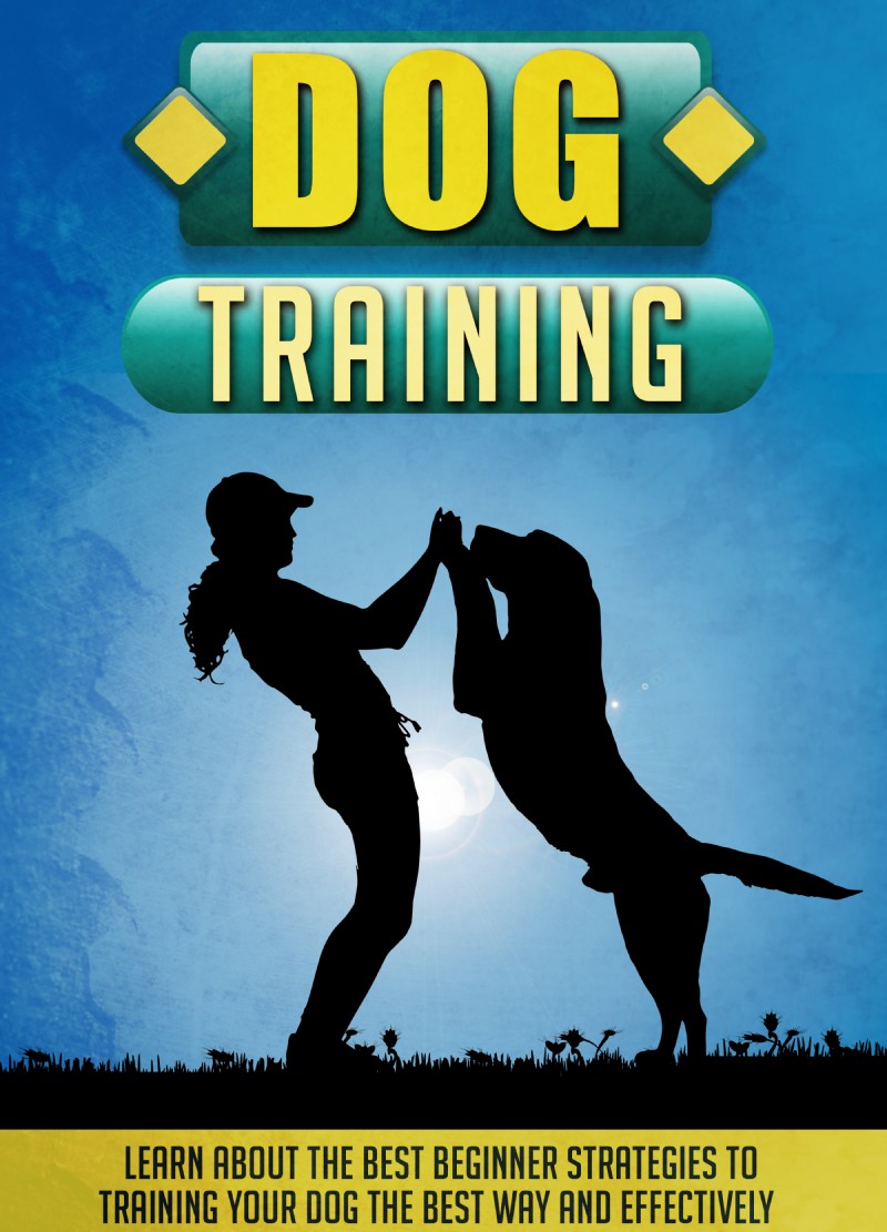 Table of Contents Dog Training Learn About The Best Beginner Strategies To - photo 1