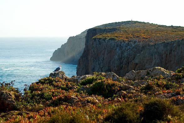 Sagres Portugal in Book II Strabo records that the Sacred Cape is the - photo 13