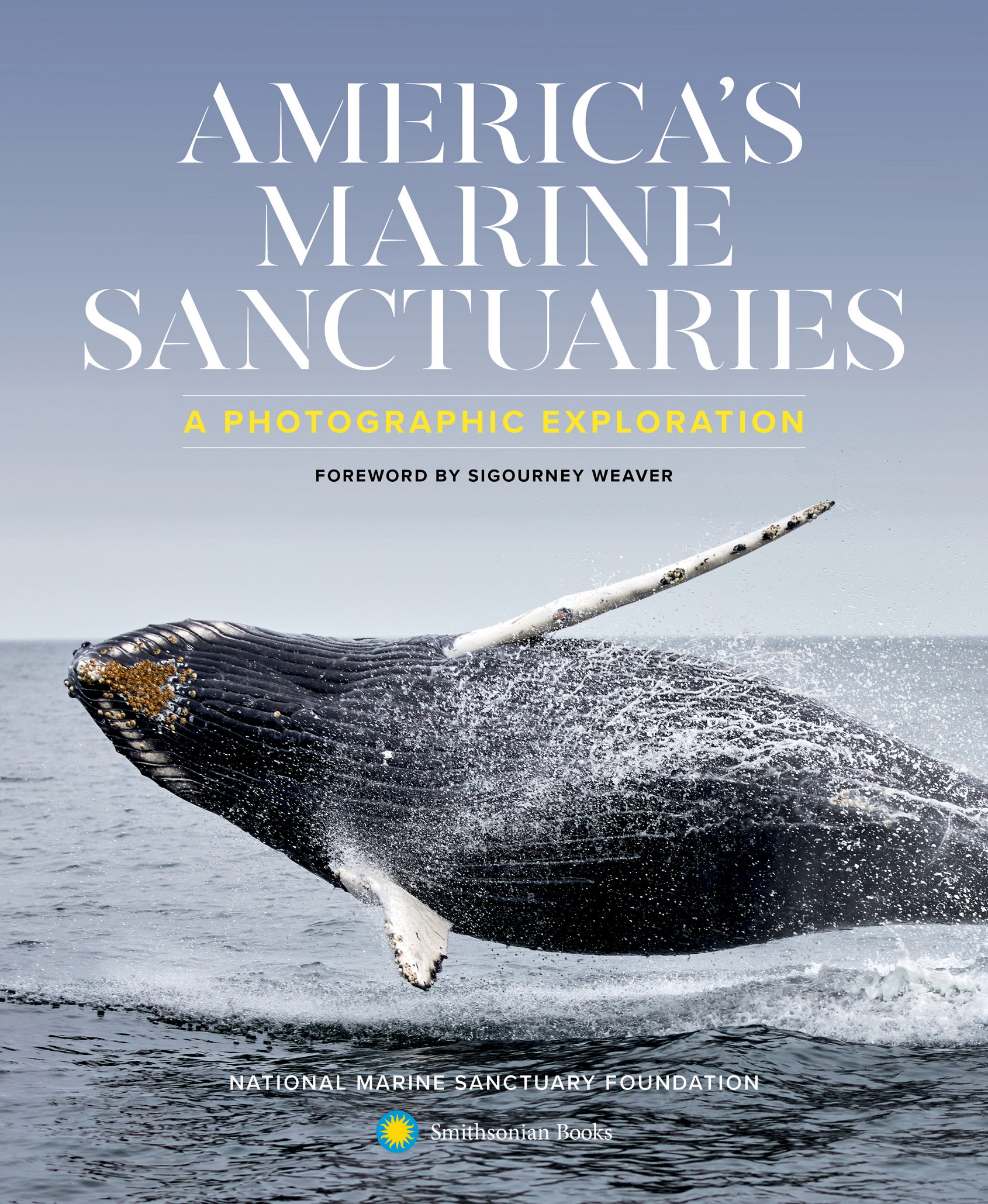 2020 by National Marine Sanctuary Foundation Compilation 2020 Smithsonian - photo 1
