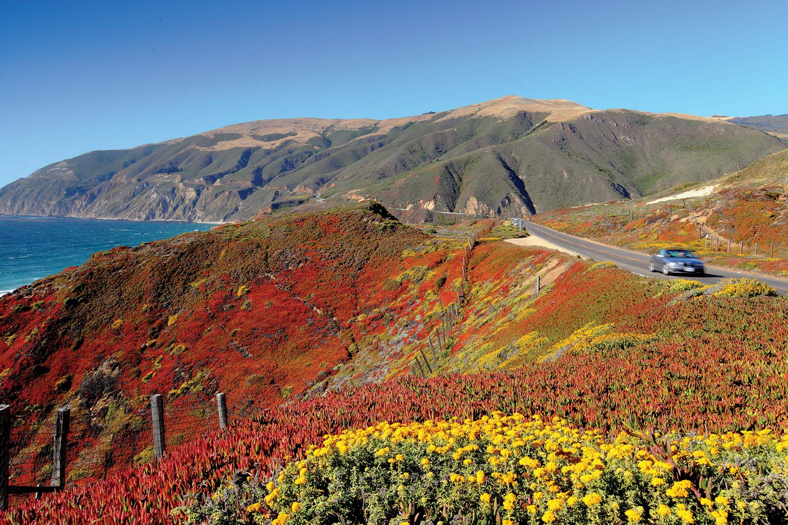 HIGHWAY 1 IN CALIFORNIA The 560-foot climb to the top of this dormant - photo 4