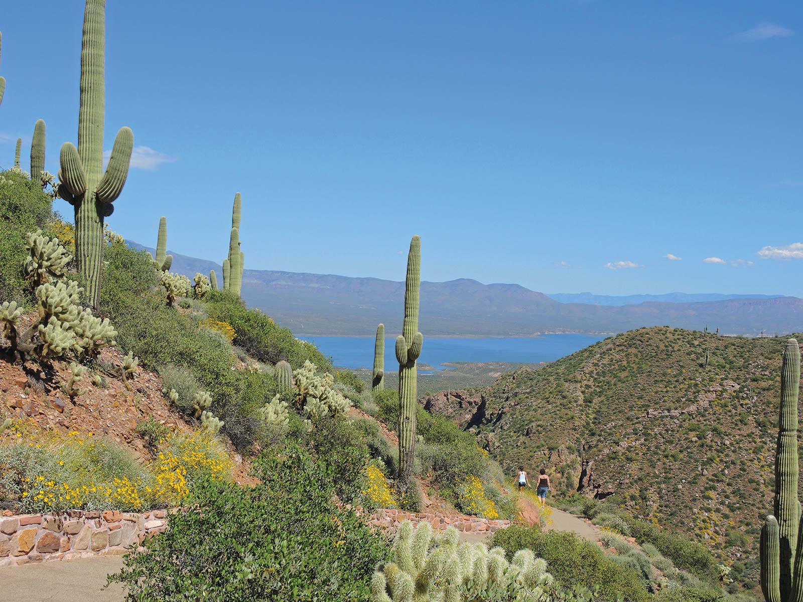 DRINK IN DESERT VISTAS ON State Route 88 just outside of Phoenix Arizona - photo 6