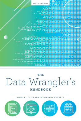 Banerjee Kyle - The Data Wranglers Handbook: Simple Tools for Powerful Results