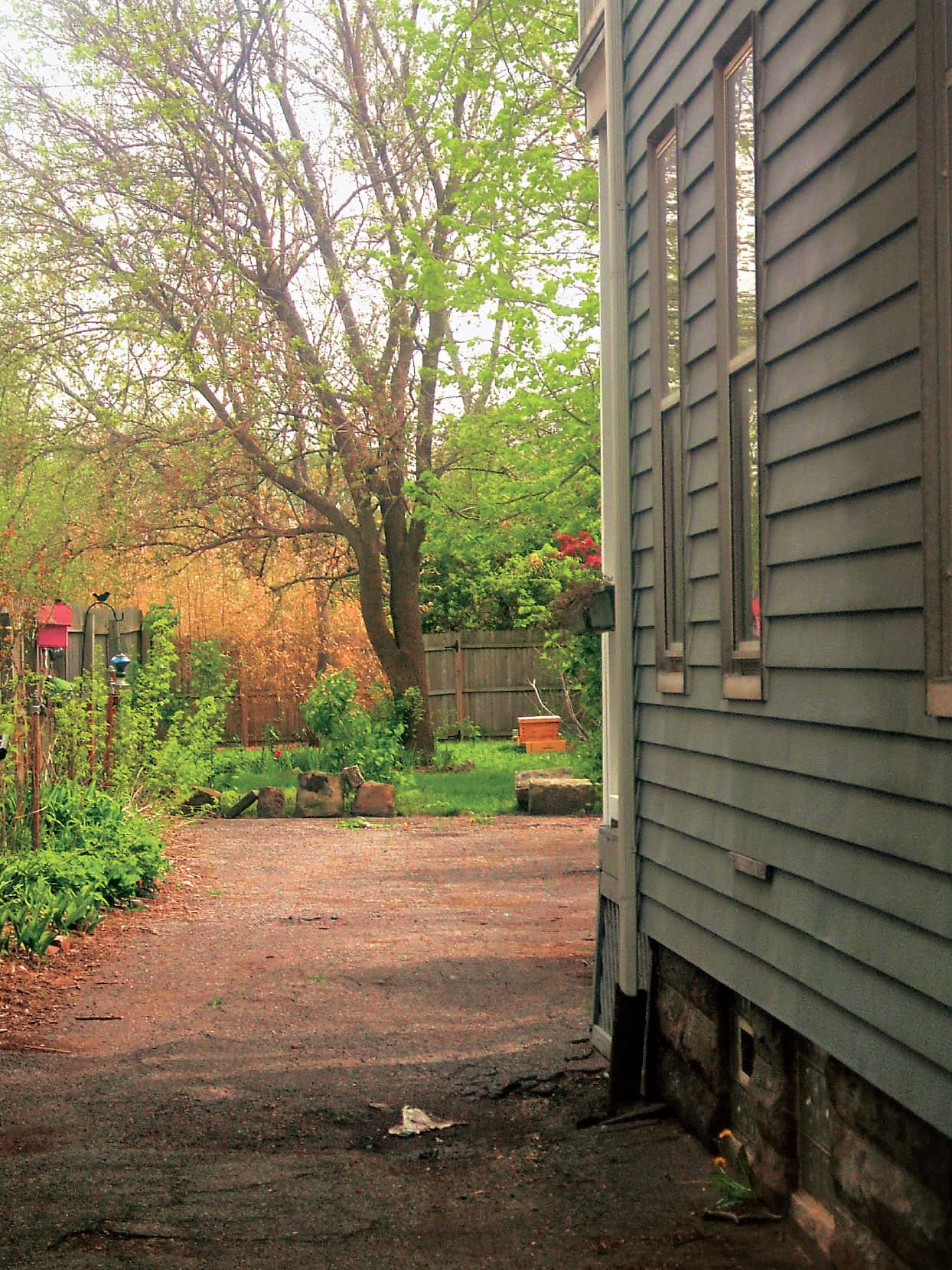 Backyards are good places to keep bees because they are close urban areas - photo 3