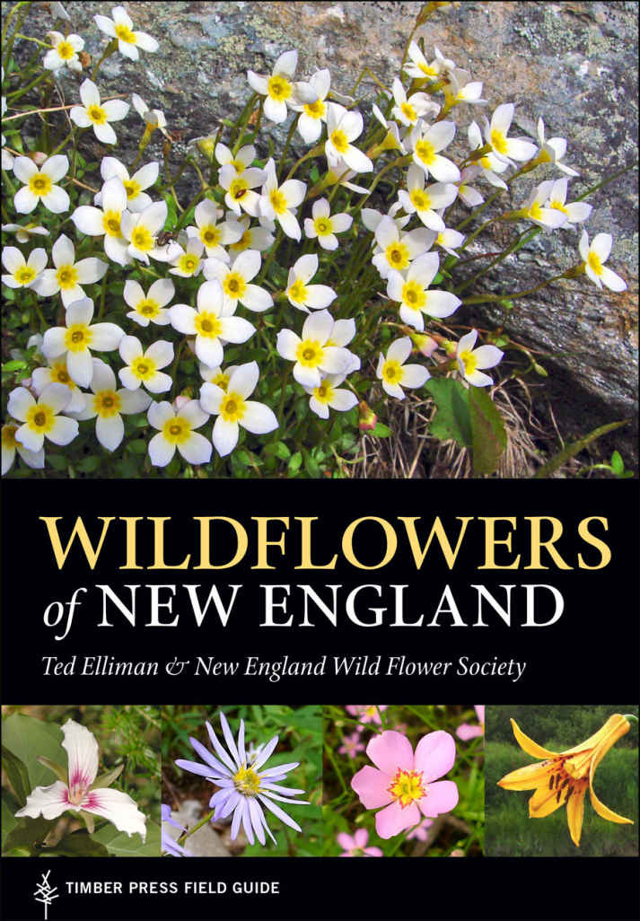 WILDFLOWERS of NEW ENGLAND Ted Elliman New England Wild Flower Society - photo 1